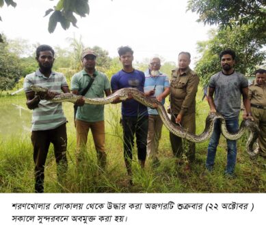 শরণখোলায় ৪০ কেজি ওজনরে অজগর  উদ্ধার করে সুন্দরবনে অবমুক্ত