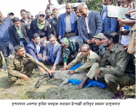 বঙ্গবন্ধুর জন্ম শতবার্ষিকী উপলক্ষ্যে সুন্দরবনে একশত কুমির অবমুক্ত