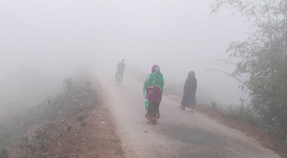 ৫ জেলায় ও এক বিভাগে মৃদু শৈত্যপ্রবাহ