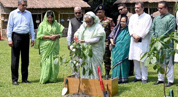 গণভবনে গাছ লাগিয়ে বৃক্ষরোপণ কর্মসূচির উদ্বোধন প্রধানমন্ত্রীর