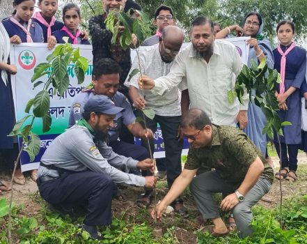 জগদীশপুর যোগেশ চন্দ্র হাইস্কুল এন্ড কলেজের স্কাউট গ্রুপের পাঁচ হাজার ফলদ বৃক্ষের চারা রোপণ কর্মসূচি-২০২৪।