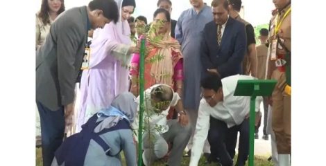শিক্ষাপ্রতিষ্ঠানে বৃক্ষরোপণ কর্মসূচির উদ্বোধন করলেন প্রধানমন্ত্রী