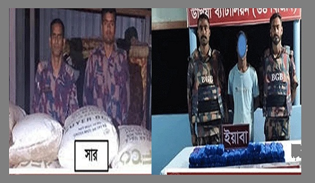 ইয়াবাসহ দুই কারবারি আটক, জব্দ ৩০ বস্তা সার