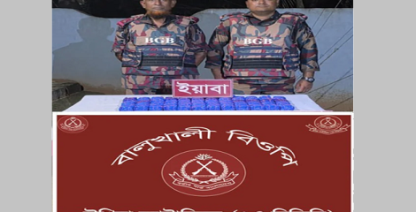 বিজিবির অভিযানে মালিকবিহীন এক লাখ পিস ইয়াবা উদ্ধার
