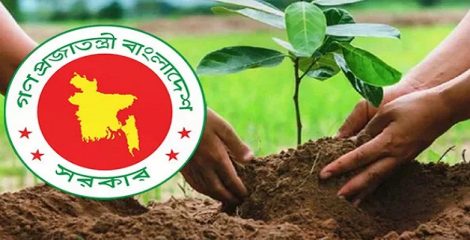২৫ কোটি গাছ রোপণের কার্বন ক্রেডিট বিক্রি করে বিলিয়ন ডলার আয় করতে পারে বাংলাদেশ