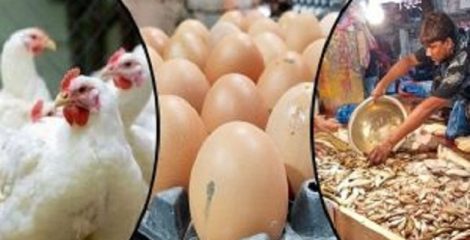 বাজারে বেড়েছে ডিমের দাম, মাছের দামও চড়া