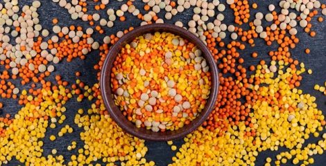 কোন ডালে সবচেয়ে বেশি প্রোটিন থাকে?