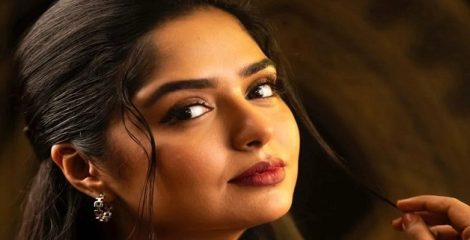 হিমির নানা কথা