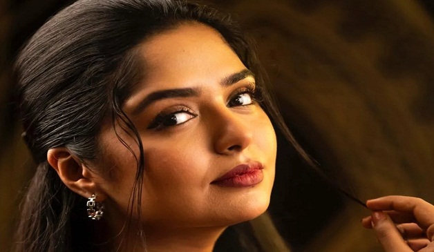 হিমির নানা কথা