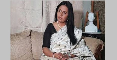 সাজার বিরুদ্ধে বিদিশার আপিল, জামিন নামঞ্জুর