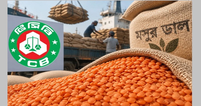 টিসিবির জন্য ১০ হাজার টন মসুর ডাল কিনছে সরকার