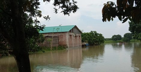 পদ্মা নদীতে বন্যা পরিস্থিতির উন্নতি, পানি কমেছে ৬ সেন্টিমিটার