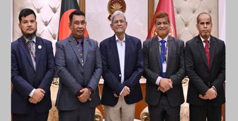 রাসায়নিক সার ও কীটনাশকের যথেচ্ছ ব্যবহার রোধে কৃষকদের সচেতন হতে হবে: রাষ্ট্রপতি