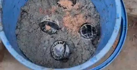 রমনায় ককটেল হামলা: গ্রেপ্তার ২ আসামির তথ্যে মিলল আরও ৪টি তাজা ককটেল
