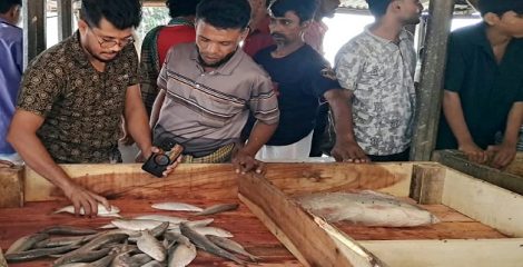 ইলিশ ধরতে পদ্মা-মেঘনায় চাঁদপুরের জেলেরা, সরগরম হয়ে উঠেছে আড়ত