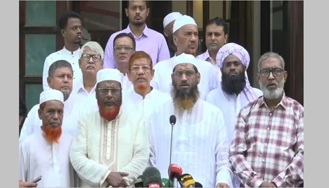 দেশের আইনশৃঙ্খলা পরিস্থিতি নিয়ে আইজিপির বক্তব্য আতঙ্কজনক : মামুনুল হক